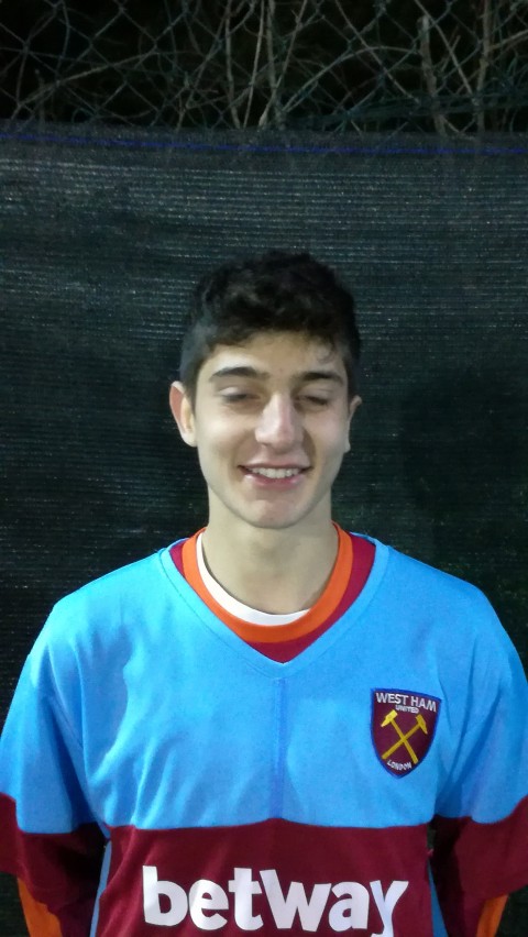 MICHELANGELO D'ALFONSI