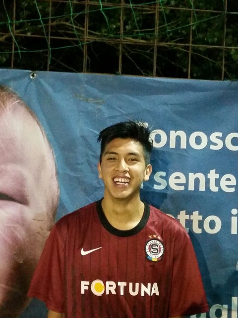 LUIS TELLES